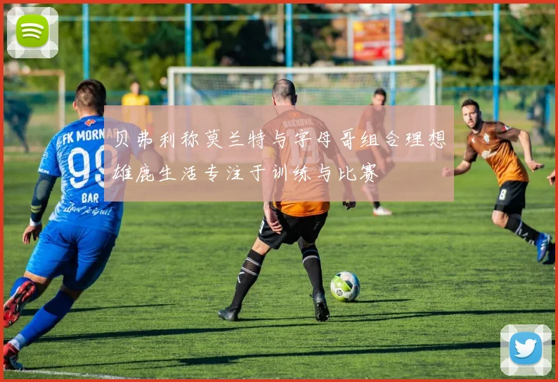 贝弗利称莫兰特与字母哥组合理想雄鹿生活专注于训练与比赛